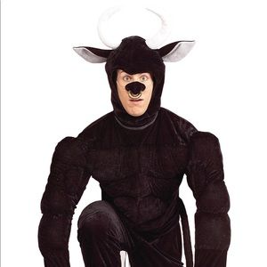 El Toro the Terri- Bull Costume
